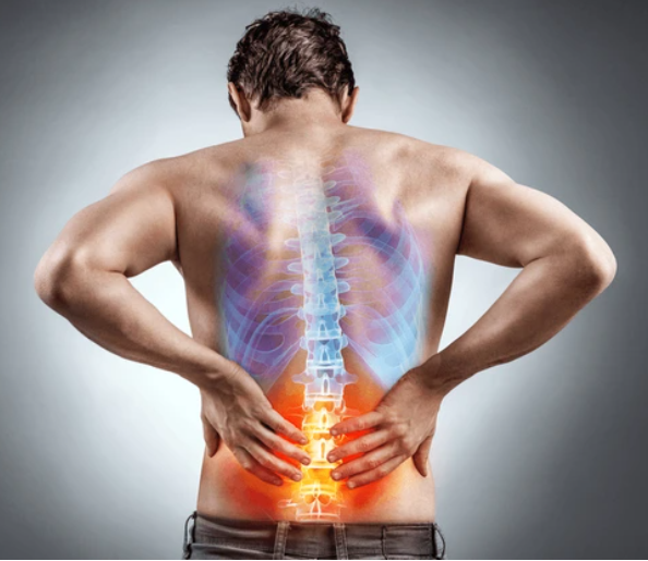 Back Pain from an Office Job? Forest Hills Rehabilitation & Physical Therapy Can Help.